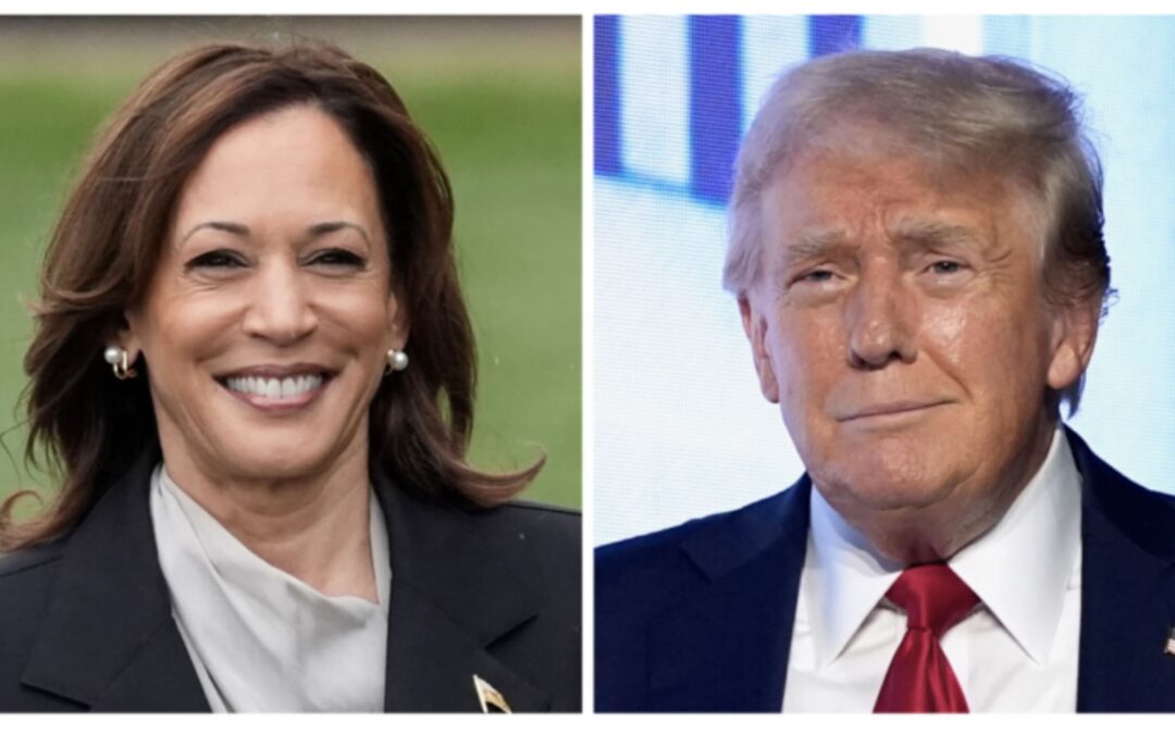 Soldi in gioco: cosa potrebbero significare Harris o Trump per le tue finanze 